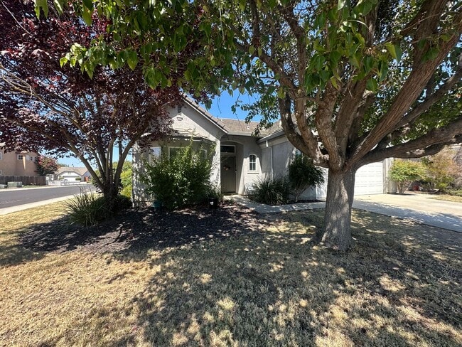 1989 Picadilly Way