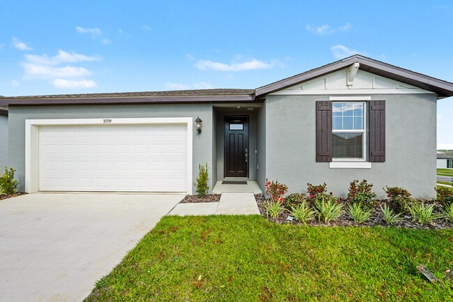 Photo - 31599 Wild Grape Ln