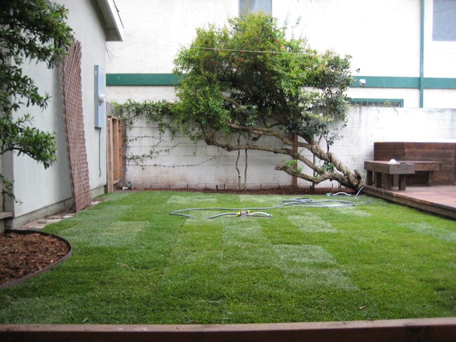 Photo - Broadway Unidad Back House