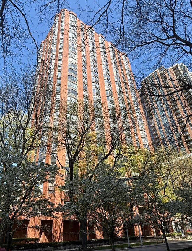 Building Photo - 899 S Plymouth Ct Unit 2008