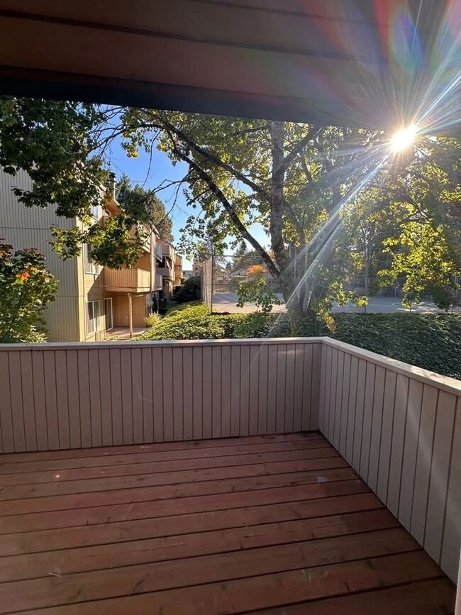 Terrace View Apartments