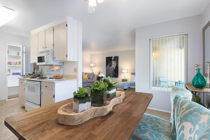 Large Open Plan Apartment Homes