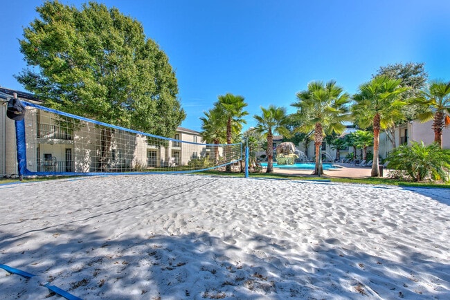 Volleyball Court - College Town at USF Apartments