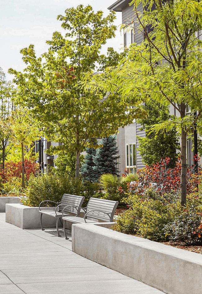 The Aster Conservatory Green