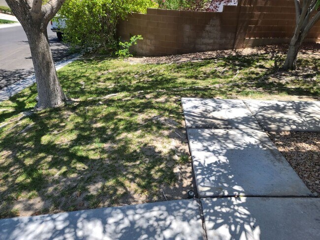 Photo - SUMMERLIN