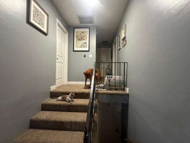 Photo - 397 W 4th St