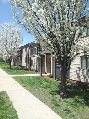 Photo - 1200 S Dairy Ashford Rd Unidad b3