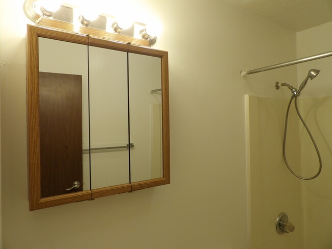 bathroom - Indian Springs Apartments