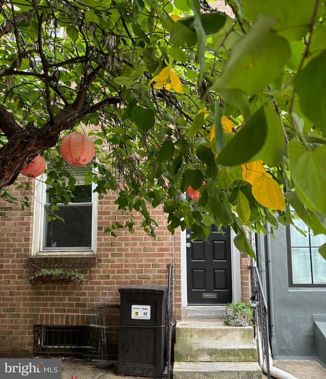 Photo - 434 Catharine St