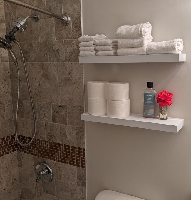 2nd floor bathroom - 119 Mt Prospect Ave Unit Main Level