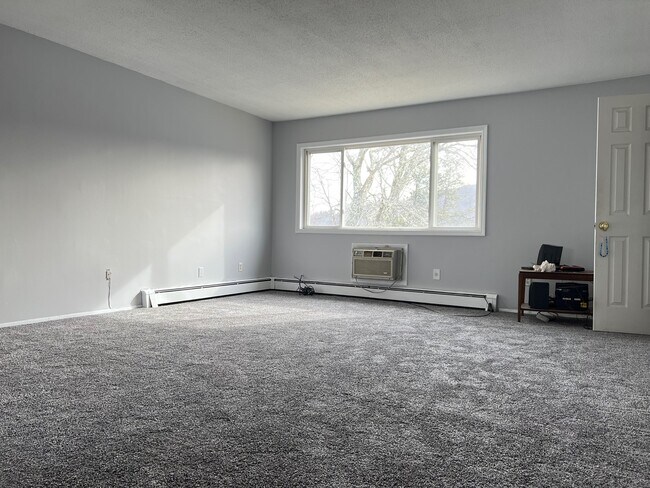 Large living room - 9 Fishkill Glen Dr Unit G