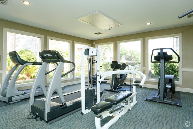 Gimnasio las 24 horas - The Arbors on Westheimer Apartments
