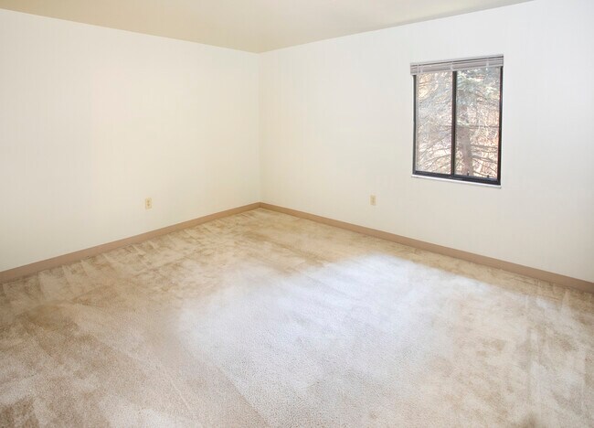 Bedroom - The Forest Apartments