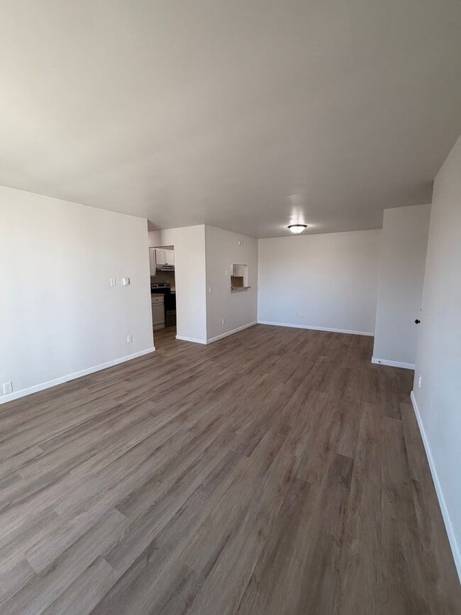 Newly Renovated Apartments