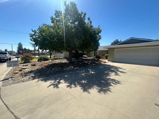 Photo - 1331 W Mary Ct