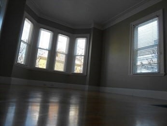 Photo - 16 Holbrook St