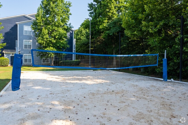Volleyball Court