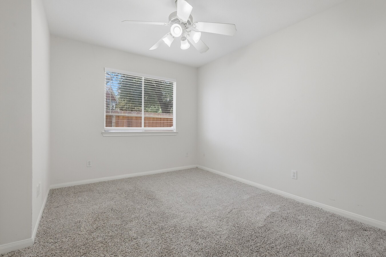 Photo - 17003 Analisa Cir