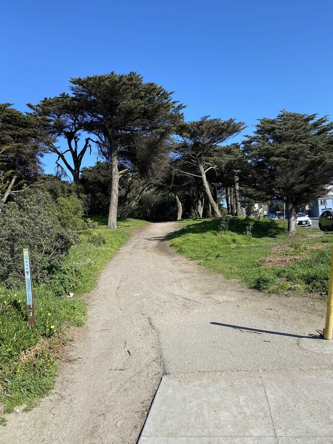 Photo - 1335 46th Ave