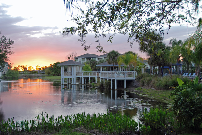 Palm Cove Apartments - Palm Cove Apartments