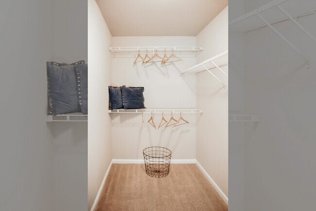 Photo - Glencoe Oaks