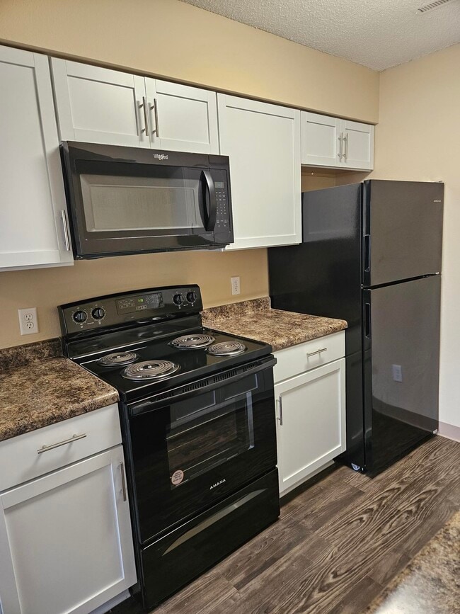 UPGRADED Apt/TH kitchen - Meadow Chase Apartments