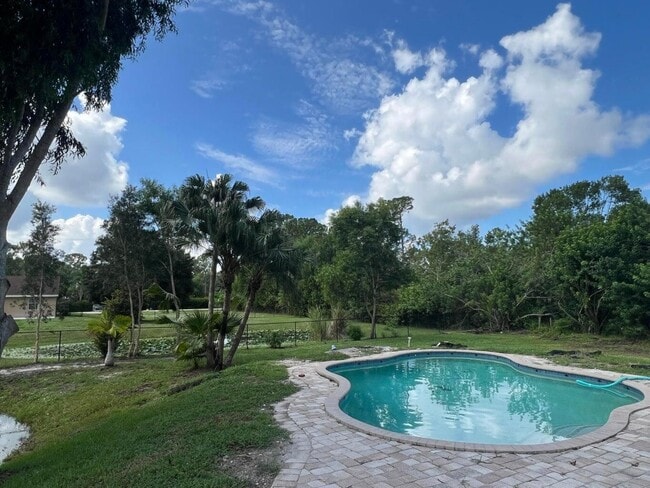 Photo - 12816 67th St N