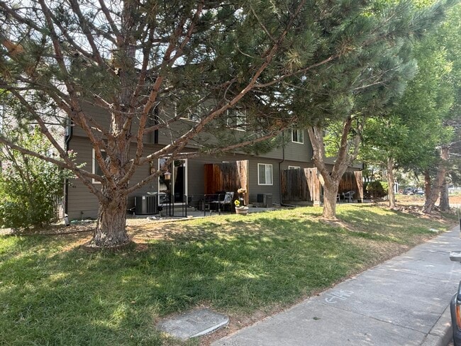 Yard - 2124 3rd St SW