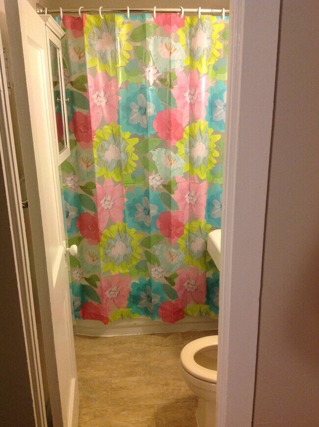 Photo - 205 Hester St