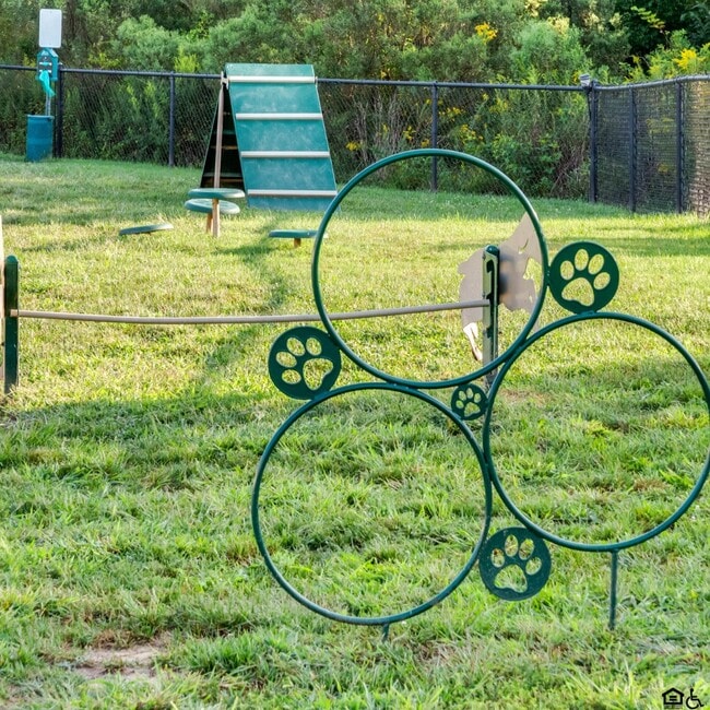 Bark Park