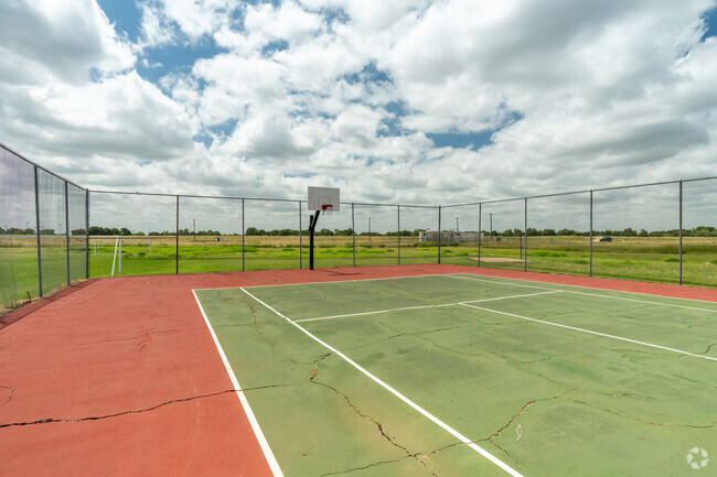 Basketball Court