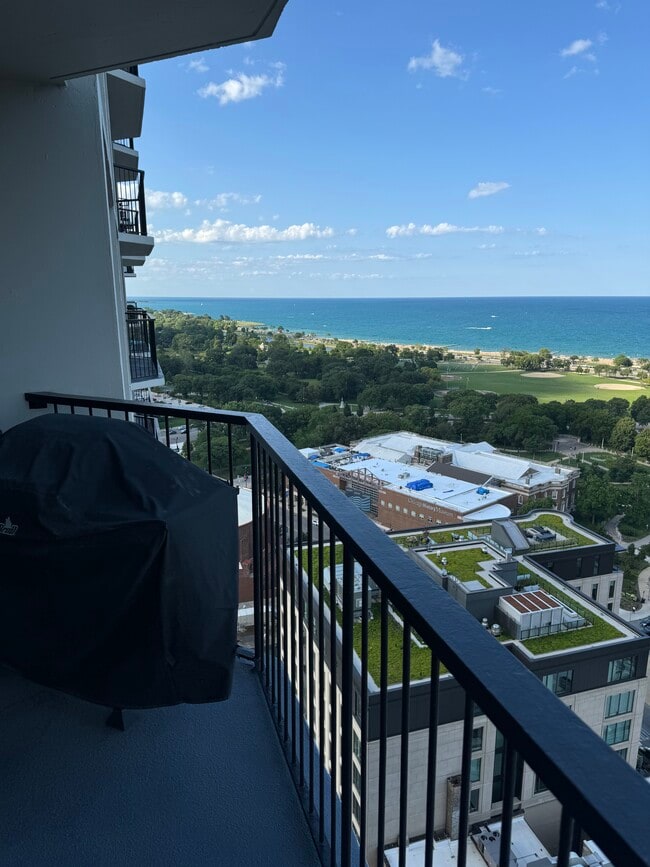 Photo - 1560 N Sandburg Ter Unit 2906