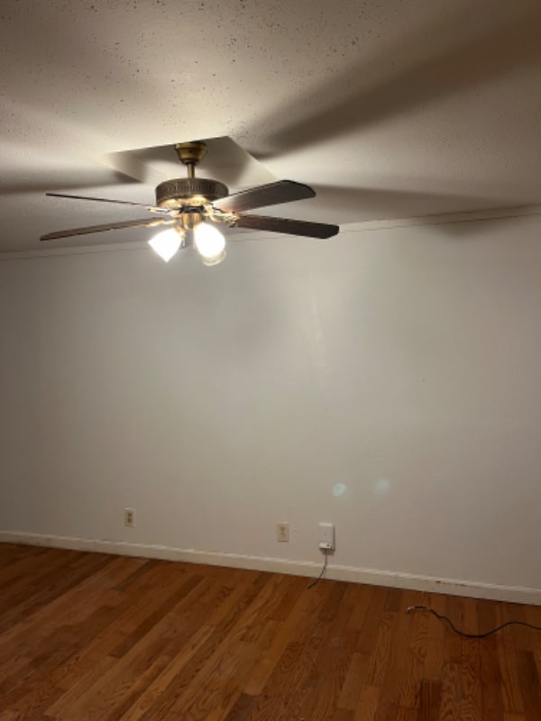Building Photo - 165 Benmont Ave Rental