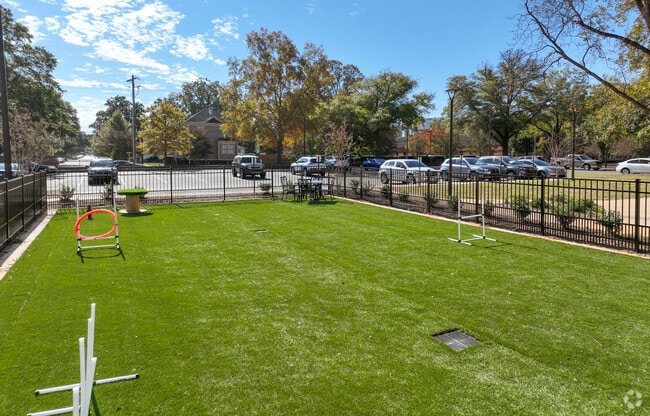 Dog Park