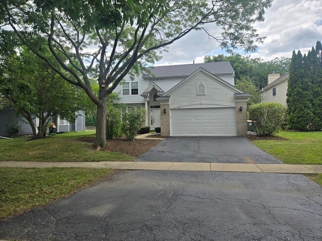Building Photo - 217 Lexington Ct