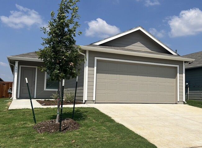 Building Photo - 3017 Burmese St