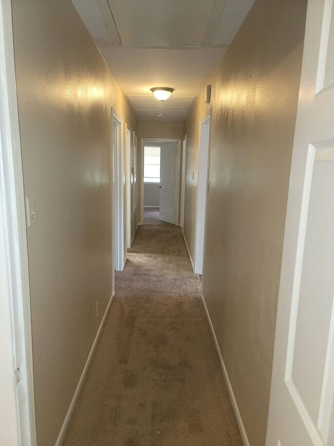 Photo - 4 Bedroom 2 Bath in The Avenues