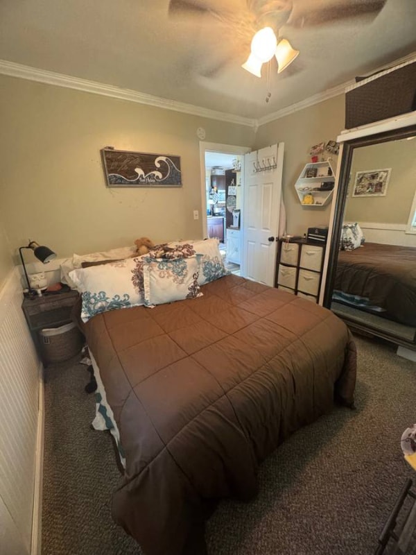 Photo - 28 Sheridan Dr