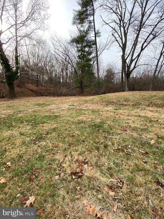 Photo - 470 Plum Alley