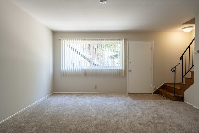 Photo - Marina Apartments