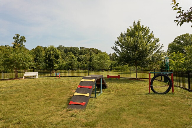 Pet Park