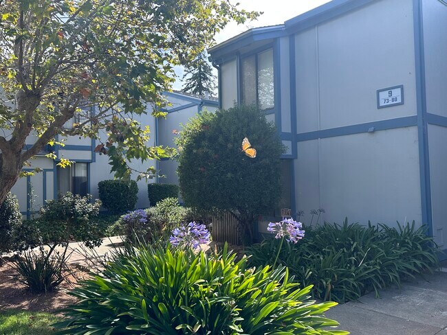 Flowering plants around complex - 1925 46th Ave Unit Villas of Capitola #73