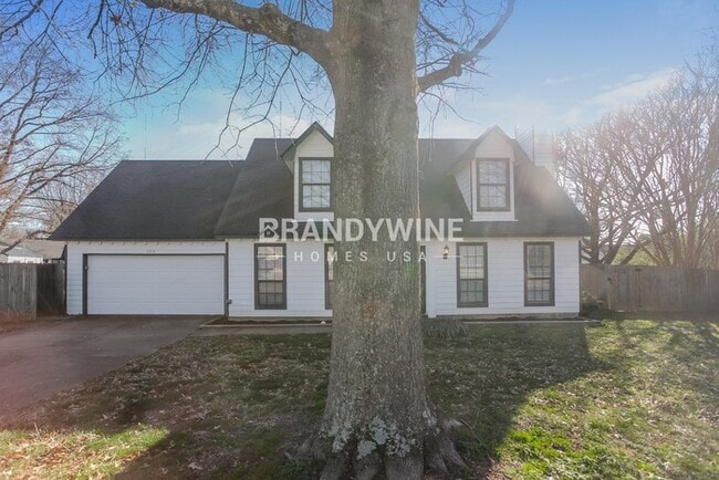 Building Photo - 7215 Grapevine Cove