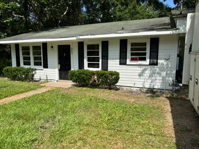 Photo - 203 Newman St House