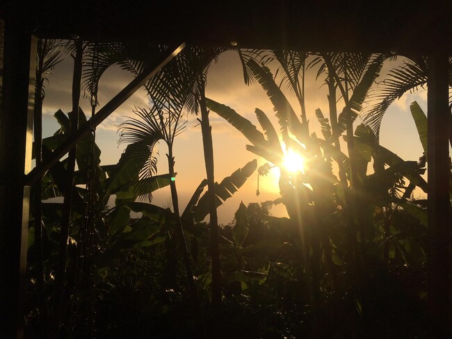 Photo - 87-2439 Mamalahoa Hwy Unit B