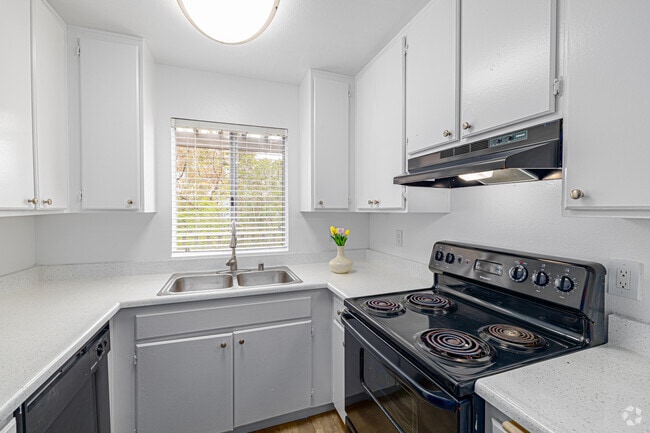1BR, 1BA - 700SF - Kitchen