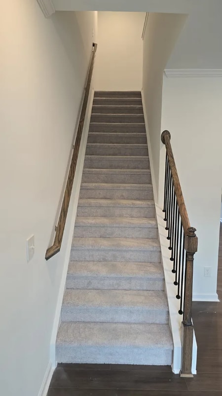 Photo - 808 Basswood Gln Trl