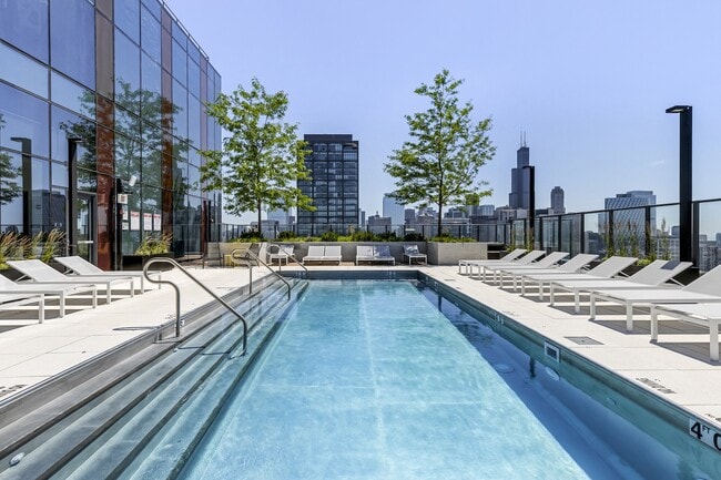 The Dylan Chicago