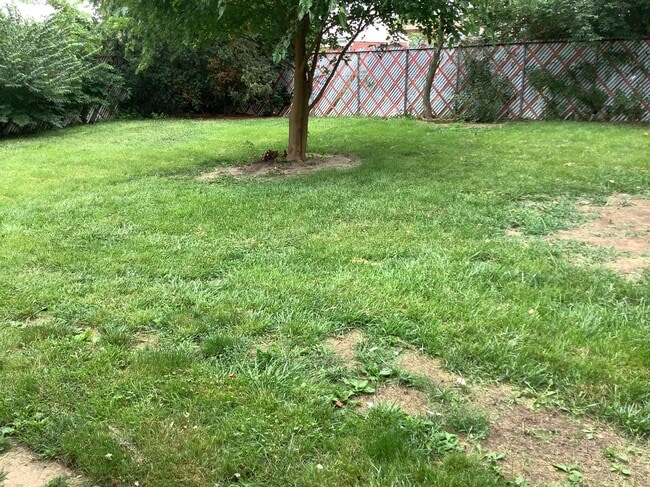 Photo - 599 S Sunset Dr