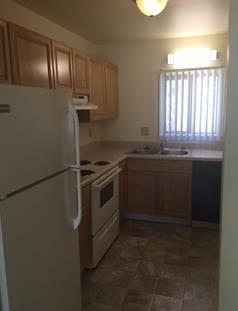 Photo - Cadillac Shores